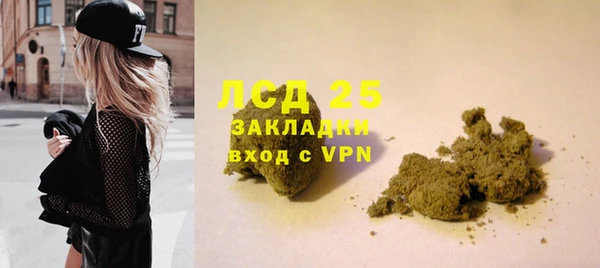 круглые Осинники