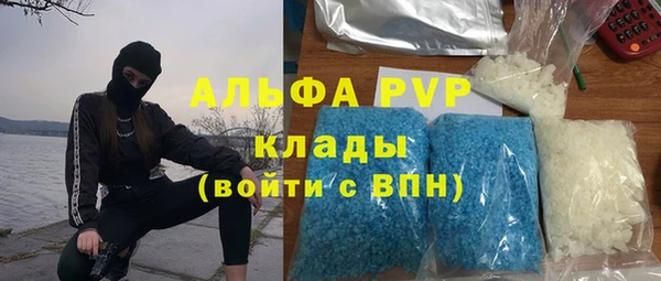 круглые Осинники
