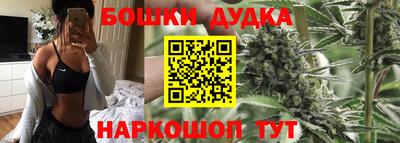 дмт Гатчина