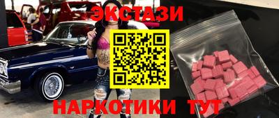 дмт Гатчина